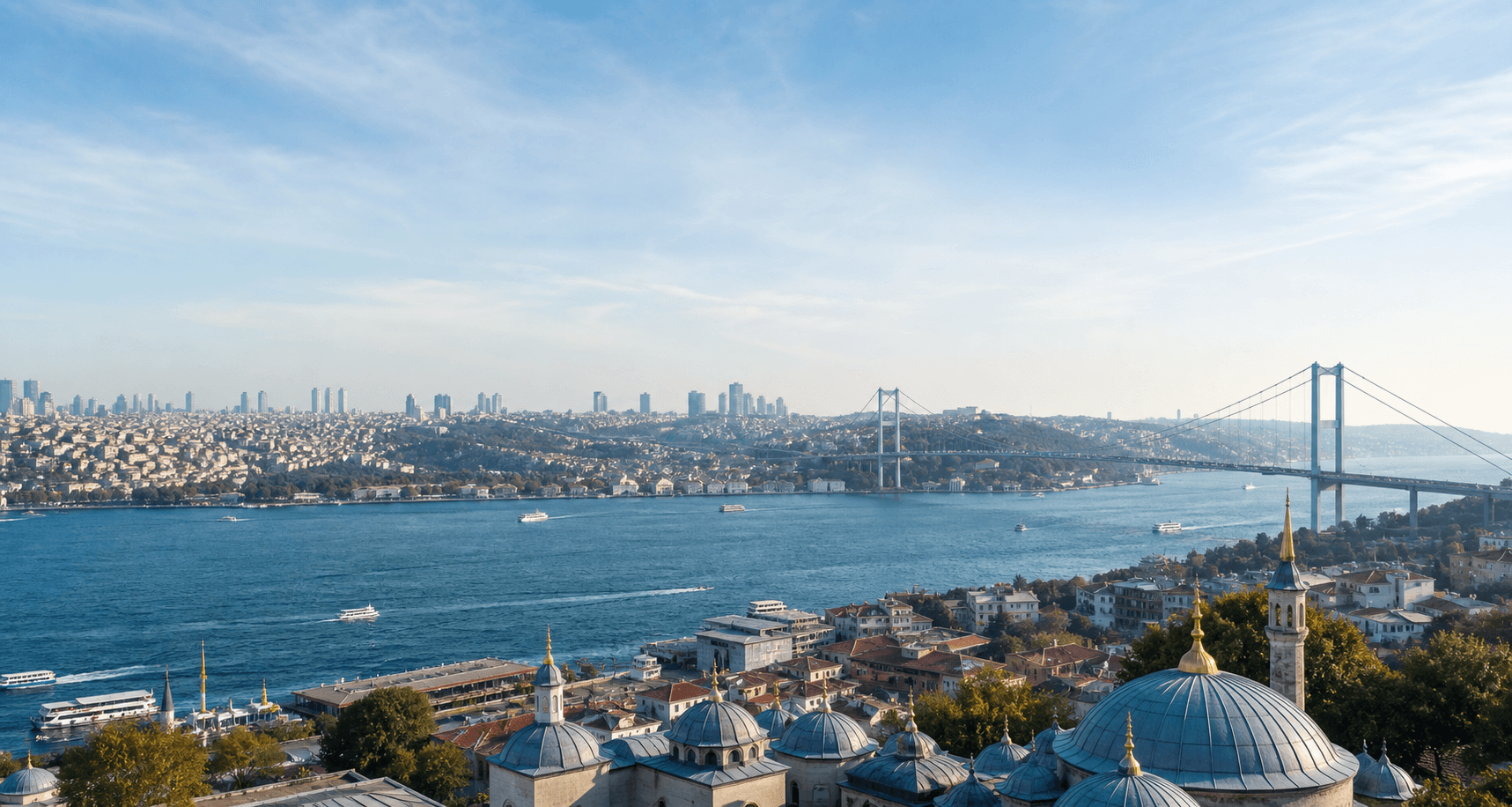 Istanbul Bosphorus bridge skyline
